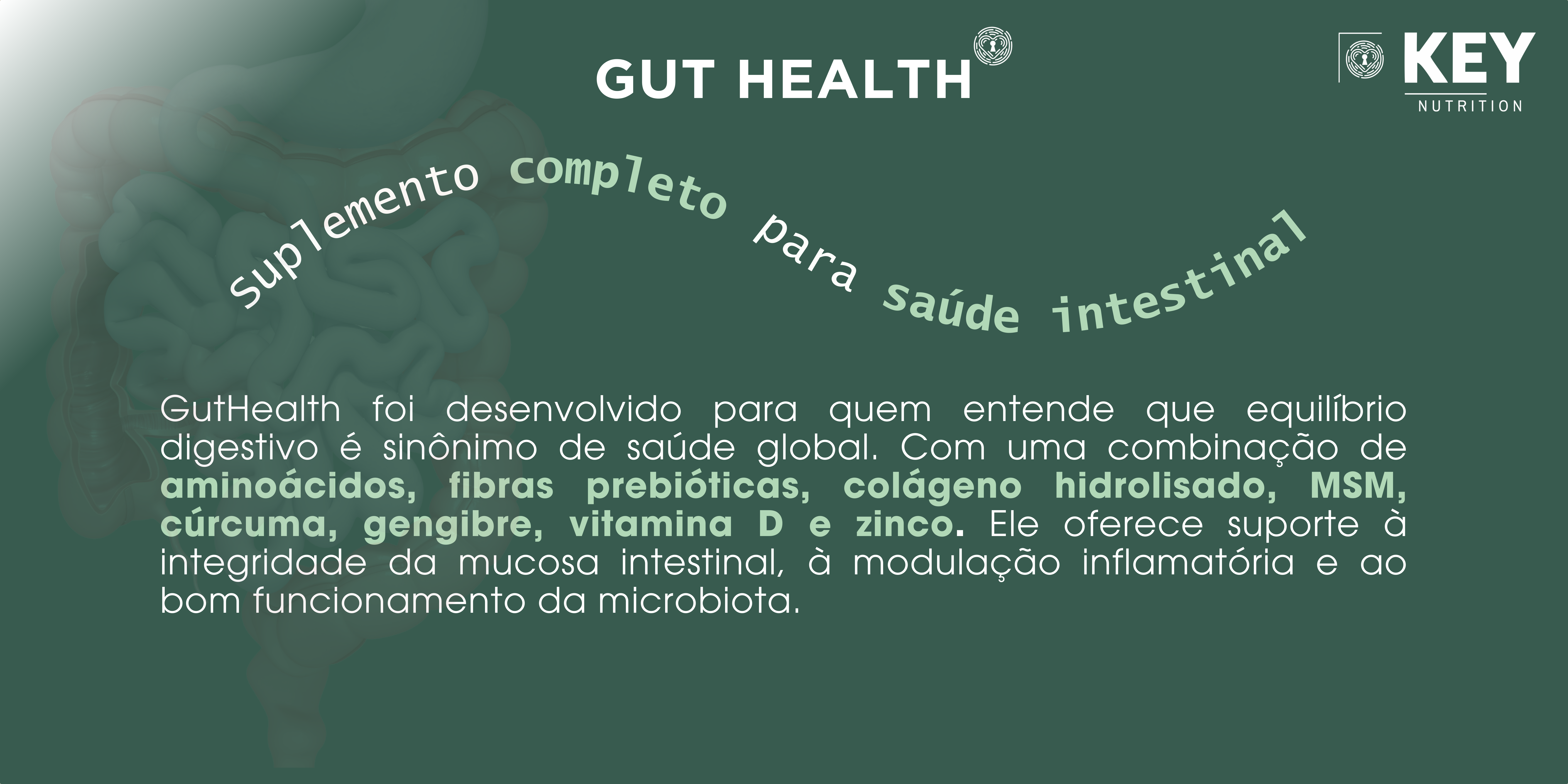 GUT 4